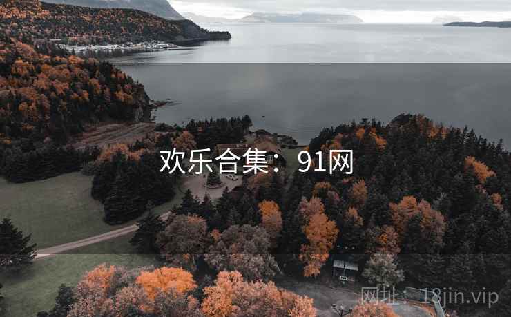 欢乐合集：91网  第1张