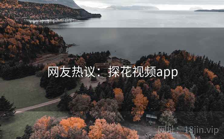 网友热议：探花视频app