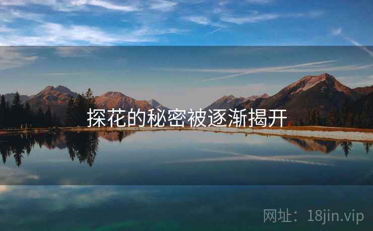 探花的秘密被逐渐揭开